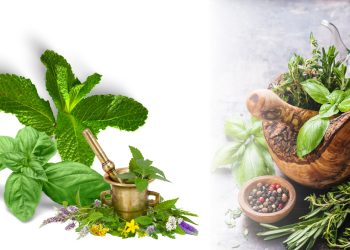 Ayurvedic herbs